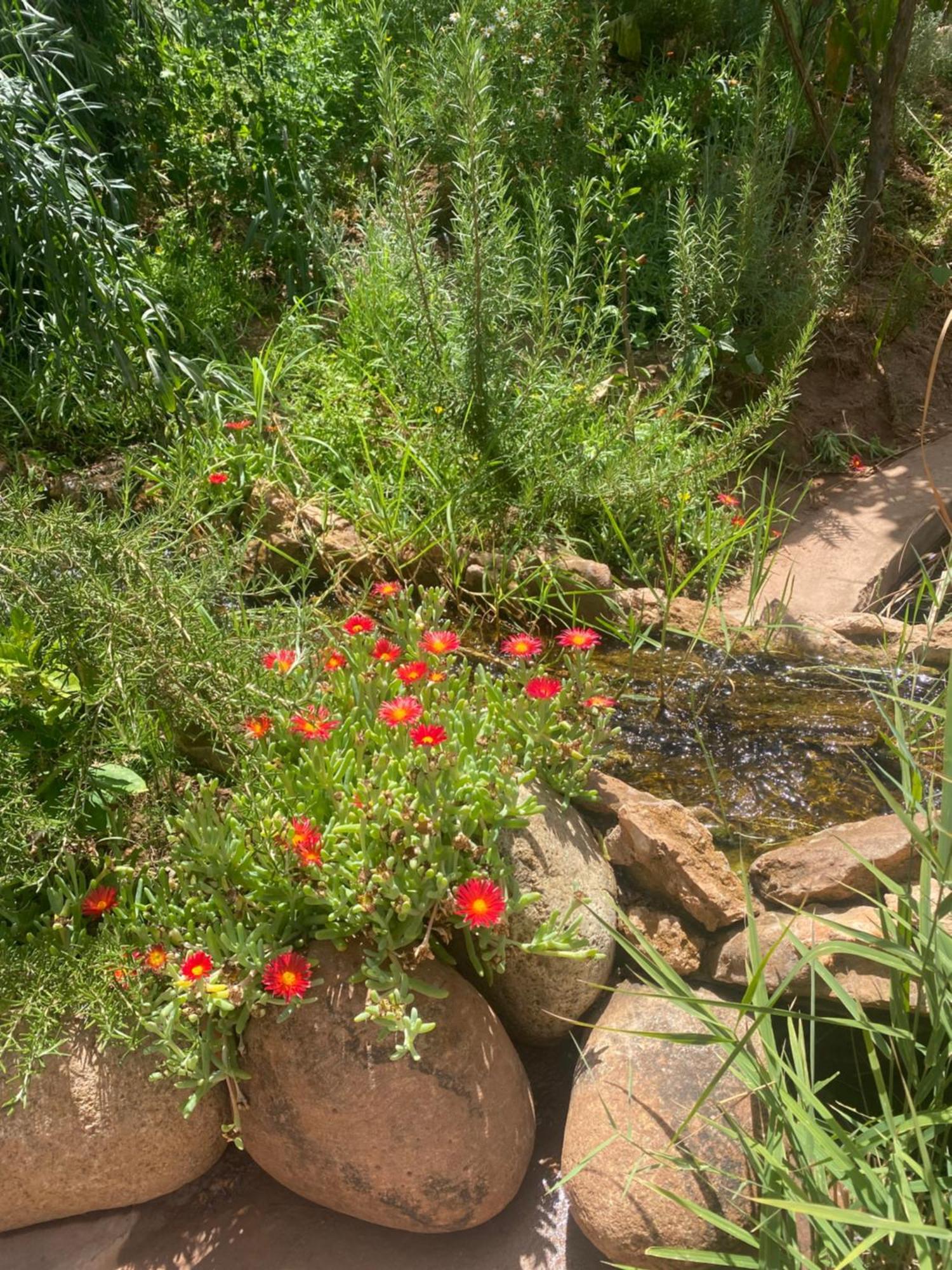 Jardin Sakina - Chambre D'Hotes Oulad Moumene Exterior foto