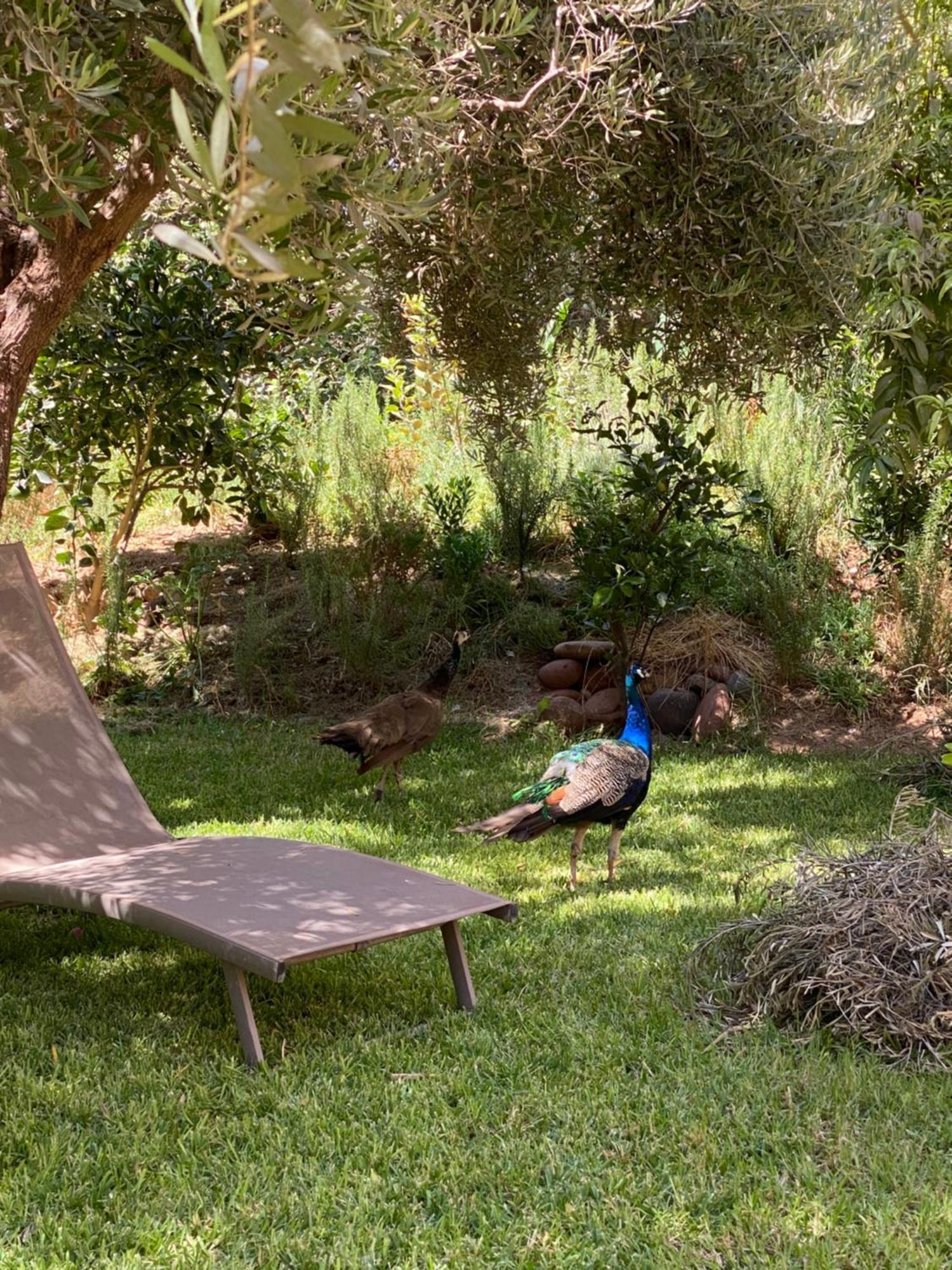 Jardin Sakina - Chambre D'Hotes Oulad Moumene Exterior foto