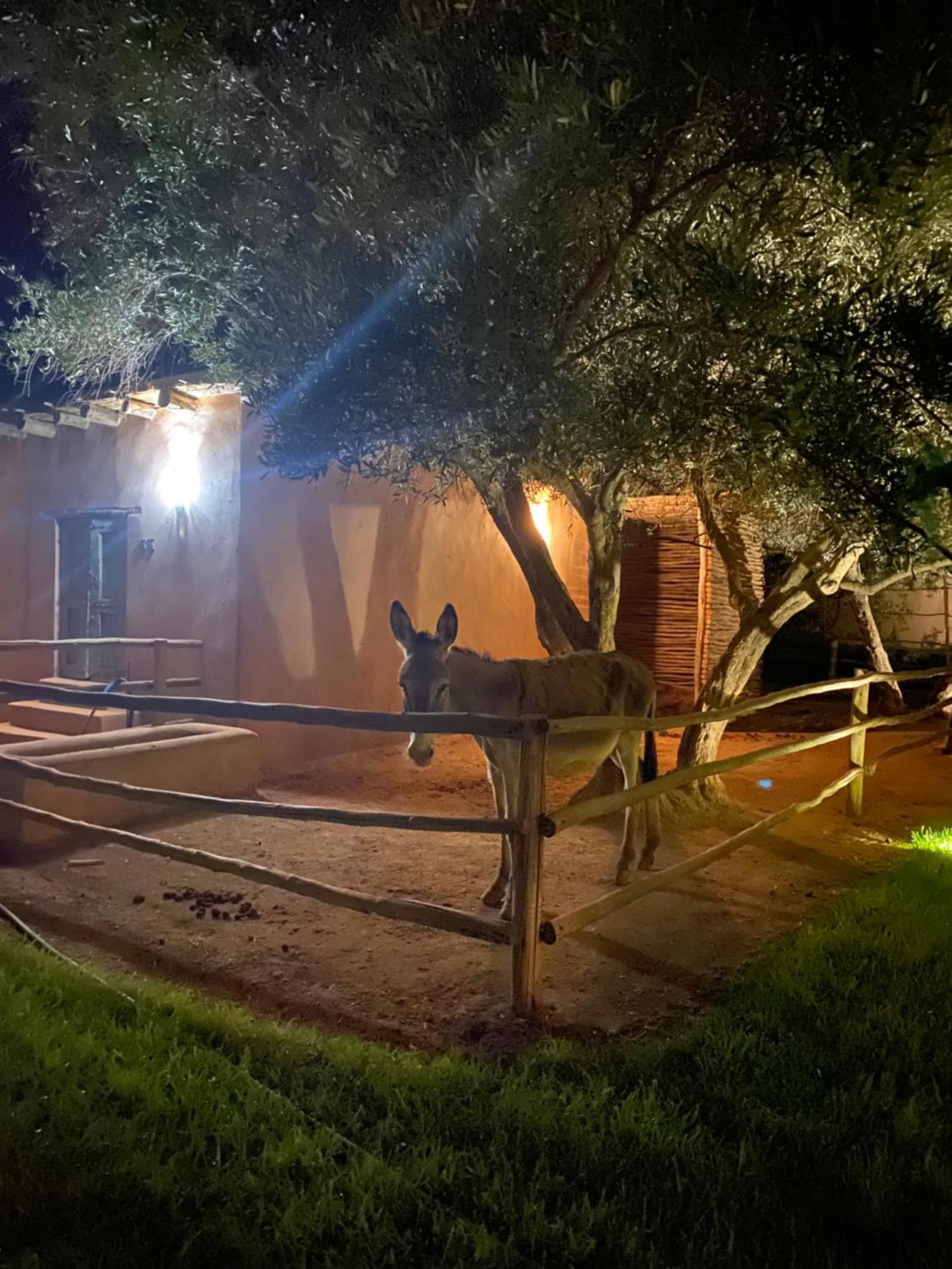 Jardin Sakina - Chambre D'Hotes Oulad Moumene Exterior foto